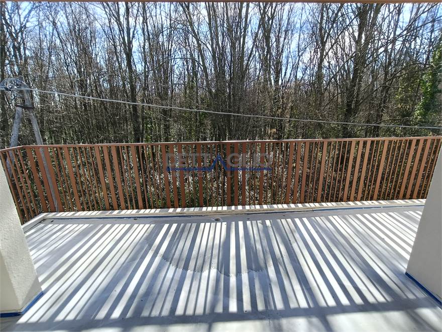 Vista a sud sul verde alberato